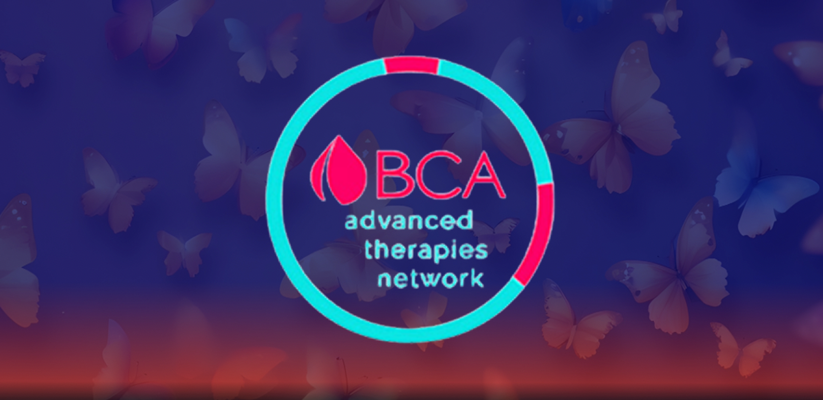 BCA SEO Project