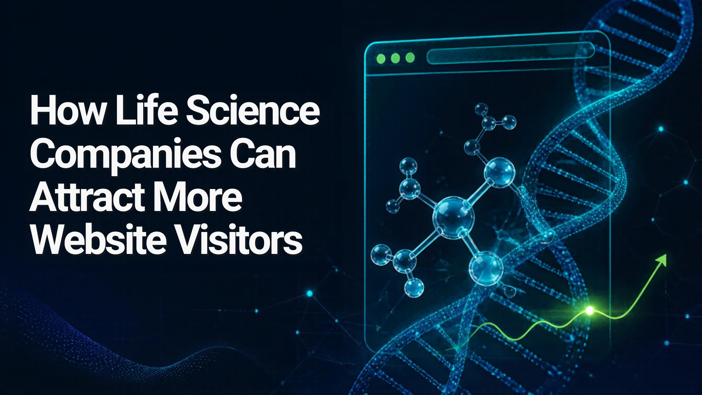 attract 
more website visitors